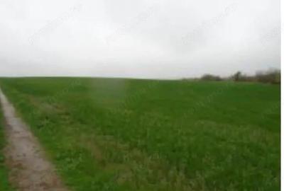 Teren de 5902 mp, în Valea Mare - 3