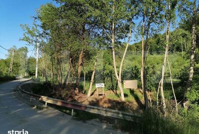 Teren de 14400 mp, în Voinești - 3