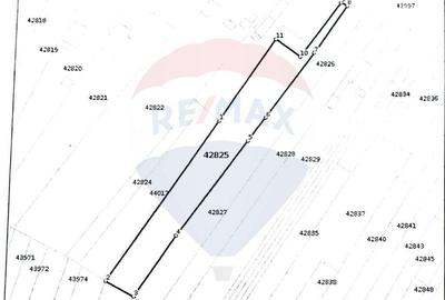 Teren de vanzare in Pielesti - 4