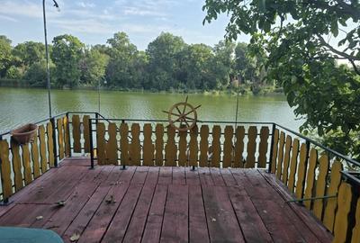 Casa Marta Bibescu pe malul lacului cu piscina - 6