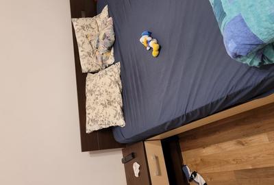 Vanda casa in Timisoara - 4