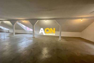 Spațiu Comercial, 400mp Nivel, Cetate - 6