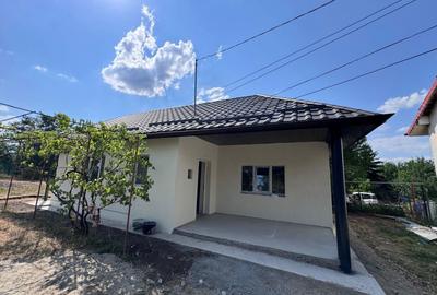 Casă cu 2 camere în Someșeni - 5