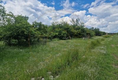 Teren Construcții intravilan de 3006 mp, în Smeura - 2