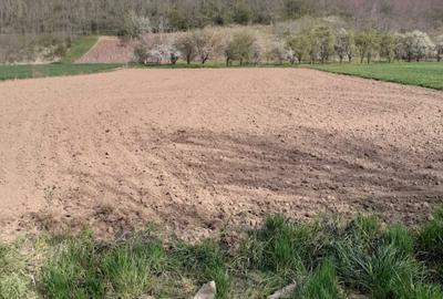 Teren de 6000 mp, în Iteu - 2