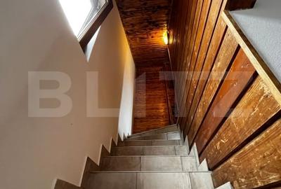 Cabana cu 7 dormitoare si 2 bai in Baile Figa - 12