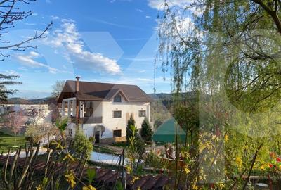 Domeniu de vanzare, Baile Govora(Pausesti-Otasau) cu teren de 20875mp - 8