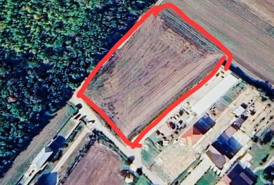 Teren de 5300 mp, în Poiana lui Stângă - 5