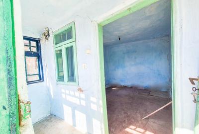 Casa, teren intravilan Negrasi Arges - 2