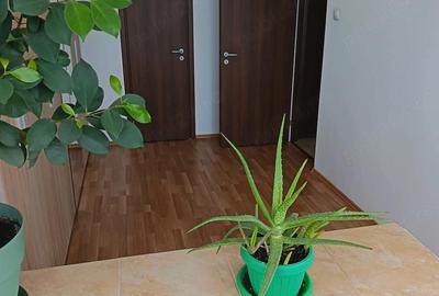 Apartament cu 4 camere decomandat în Gara de Nord - 6