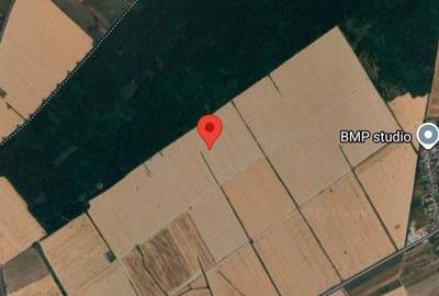 Spațiu comercial, în Buftea - 1