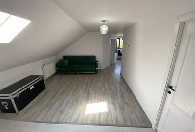 Spatiu comercial tip vila, Serbanesti - 12
