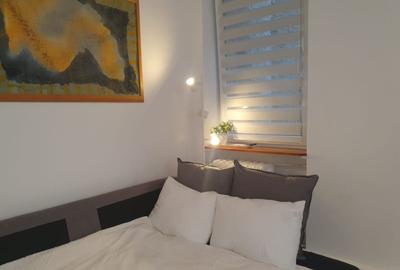 Garsonieră semidecomandată, mobilată în Romană - 6