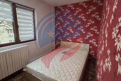 Garsonieră semidecomandată în Valea Rosie - 2