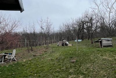 Casă cu 3 camere în Bălțești - 4