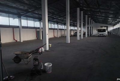 Spațiu comercial, de 6,000 mp, în Episcopia Bihorului - 3