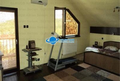 Vanzare vila P+M Targoviste, exterior sud - 13