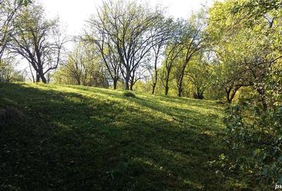 Teren de 2280 mp, în Cerașu - 4