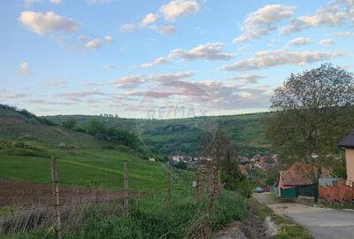 Teren intravilan in Tarnaveni! - 6