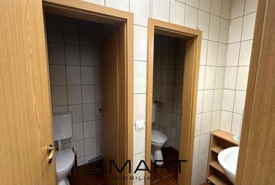 Spatiu birouri 250mp Calea Dumbravii - 8