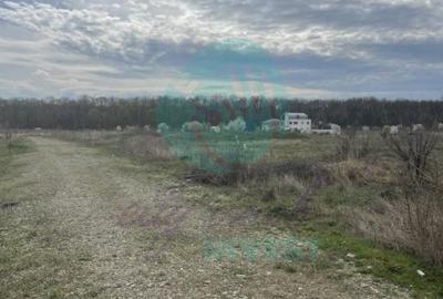 Teren Construcții intravilan de 590 mp, în Băneasa