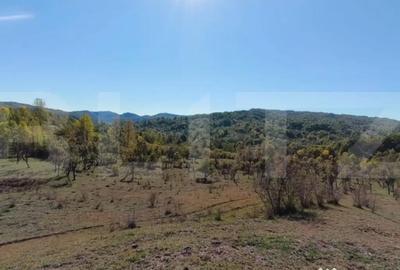 Teren de 7382 mp, în Central - 7