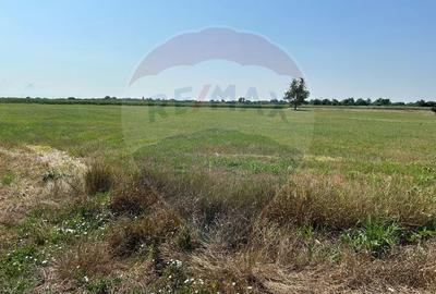 Teren Construcții intravilan de 20561 mp, în Vest - 9