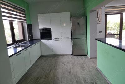 Vand vila Parter , zona Cantemir- Nufarul, constr 2017, teren 700 mp, gaz, panouri solare - 10