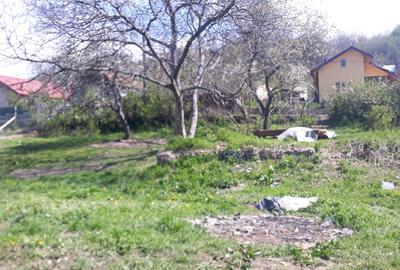 Teren intravilan Valenii de munte - 2