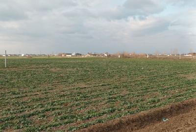 Loturi teren intravilan 500 mp - Rate la Dezvoltator - 4