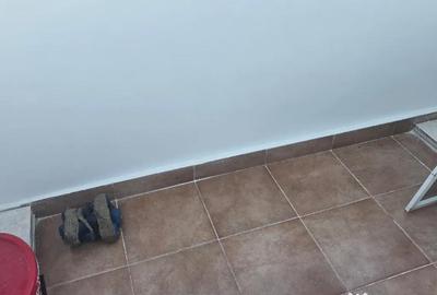 Apartament cu 3 camere semidecomandat în Scărișoara - 6