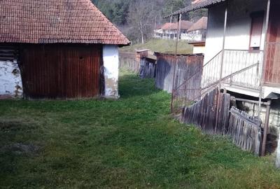 Casă cu 3 camere cu Teren 1500 Mp în Morlaca - 10
