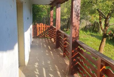 Casa 64 mp util, 2 camere + hol mare refacut, 4.100 mp intravilan - 6