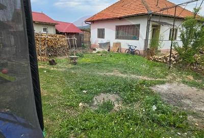 Casă cu 3 camere cu Teren 5000 Mp în Cislău - 11