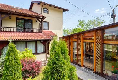 Vila superba la munte - 9