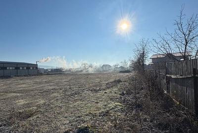 Spațiu comercial, în Ruși-Ciutea - 10