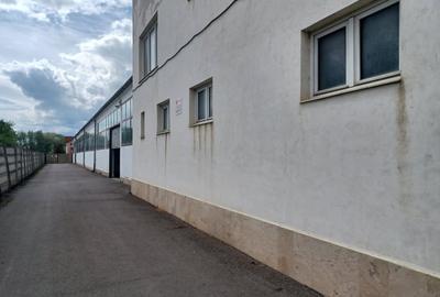 Inchiriez Hala industriala + spatiu birouri - 7