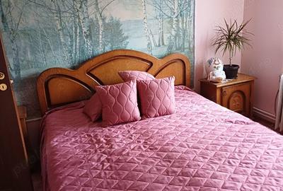 Vanzare apartament Calimanesti - 3