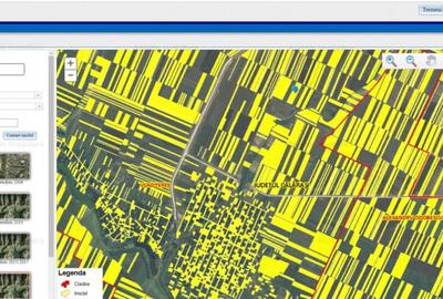 12 Ha Teren Agricol Vlad Tepes CL - 3
