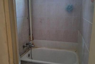 Garsonieră decomandată în Viilor - 4