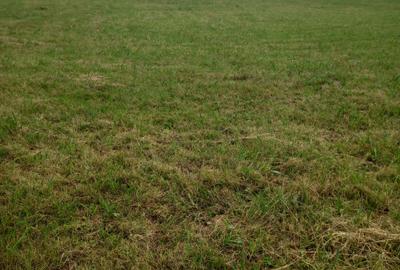 Spațiu comercial, în Cușma - 1