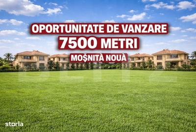 Spațiu comercial, în Moșnița Nouă