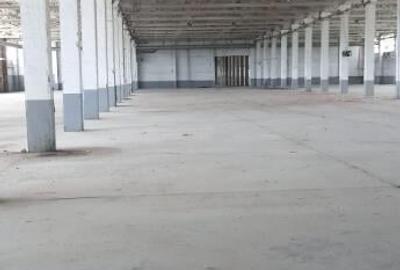 Activ de vanzare la 10 Km de Municipiul Braila ,3 Km de Dunare - 11