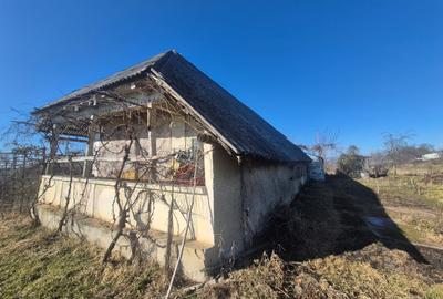 Casă cu 5 camere cu Teren 6817 Mp în Zănești - 7