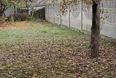 Casă în Iazu Nou - 5