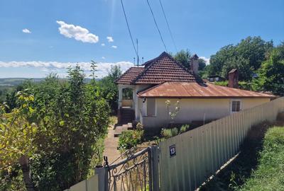 Casă individuală cu 5 camere cu Teren 10426 Mp în Est - 6
