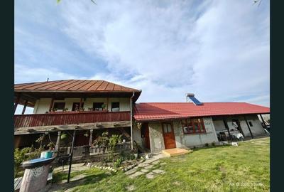 Casă cu 3 camere cu Teren 4800 Mp în Drăguțești - 5