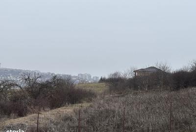 Spațiu comercial, în Borhanci - 3