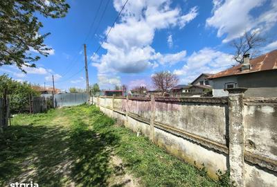 Teren de 975 mp, în Cernica - 7