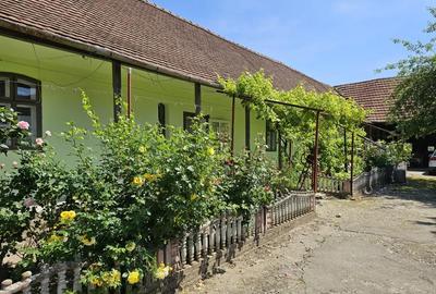 Casă cu 4 camere cu Teren 1450 Mp în Liebling - 6